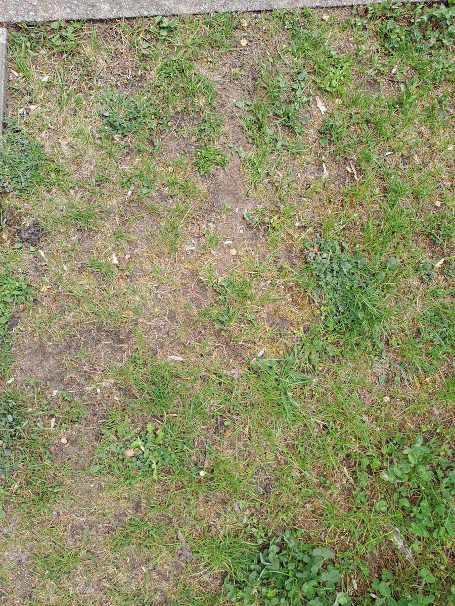 VertexRage's tweet image. Was outside recently. Took some pictures for references.

#TextureReference #ReferencePhotos #ReferenceImages