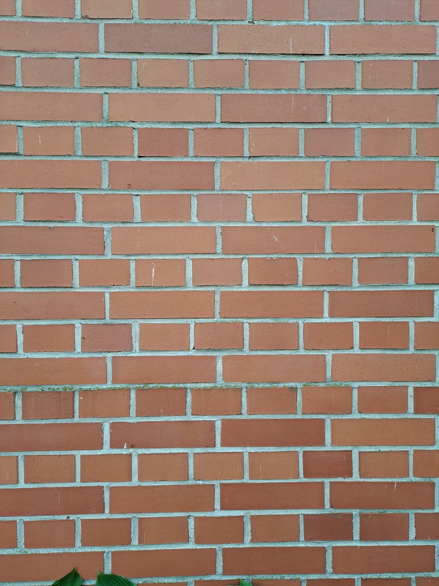 VertexRage's tweet image. Was outside recently. Took some pictures for references.

#TextureReference #ReferencePhotos #ReferenceImages