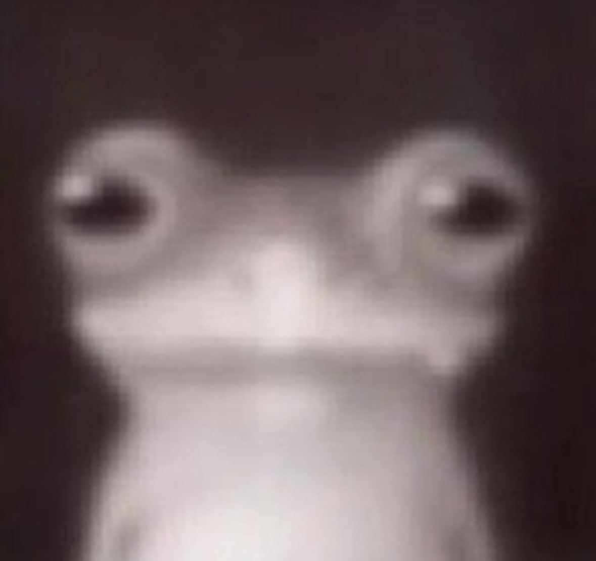 AlextheG tweet media