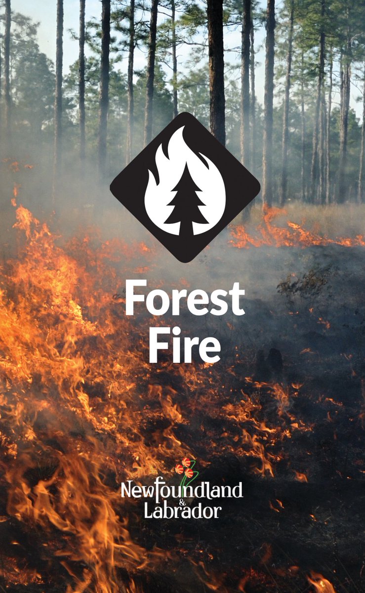 #GovNL is closely monitoring four wildfires in the province:

➡️Near Butterpot Park, tankers on site.

➡️10 km west of Badger, adjacent to TCH. Wildfire crew, air tanker and volunteer fire department are actioning fire.

➡️Near Adam’s Cove, close to Carbonear. Wildfire crew and