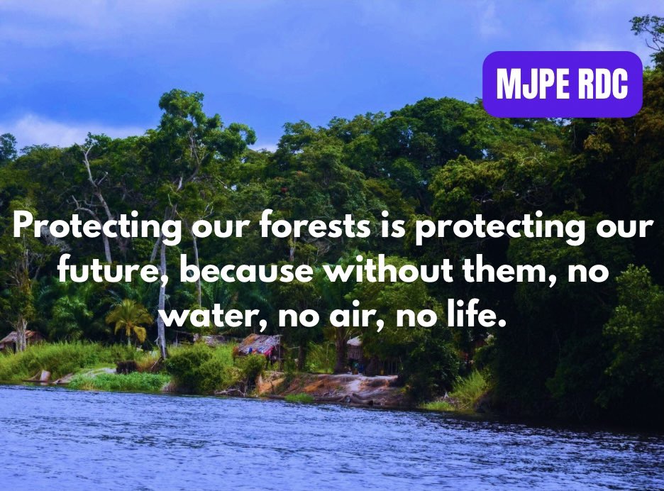 Let’s protect our forests: don’t sacrifice them for oil money. Our lives are worth more than their profit.
#StopEACOP #NoOilInDRC #REPowerAfrika