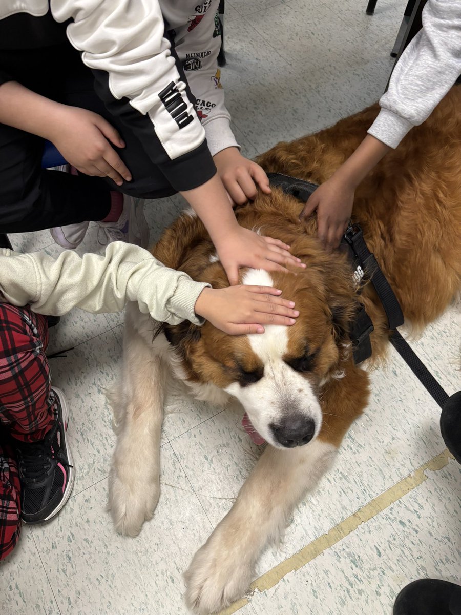 Corpus Christi School (@corpusocsb) on Twitter photo Move over, <a href="/seankellyottawa/">ππππ πππππͺ</a>, Grizzly won the mystery reader star this week! π. Merci <a href="/MmeBeaulneOCSB/">πOααΌIπΌ α·πΌα©ααͺαπΌ</a> dβavoir lu votre livre sur Grizzly Γ nos 4/5 et dβavoir amenΓ© le personnage principal en personne! #CathEdWeek #ocsb #CorpusProud Move over, <a href="/seankellyottawa/">ππππ πππππͺ</a>, Grizzly won the mystery reader star this week! π. Merci <a href="/MmeBeaulneOCSB/">πOααΌIπΌ α·πΌα©ααͺαπΌ</a> dβavoir lu votre livre sur Grizzly Γ nos 4/5 et dβavoir amenΓ© le personnage principal en personne! #CathEdWeek #ocsb #CorpusProud