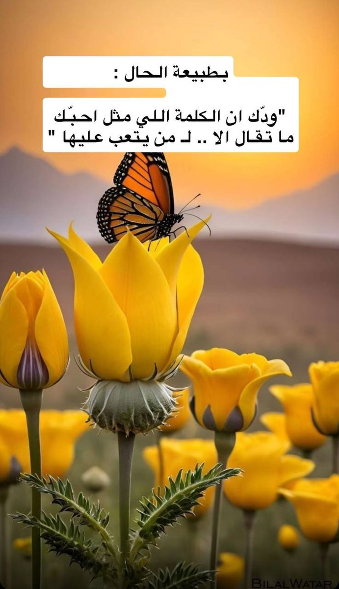 انهر (@bshar46575394) on Twitter photo 