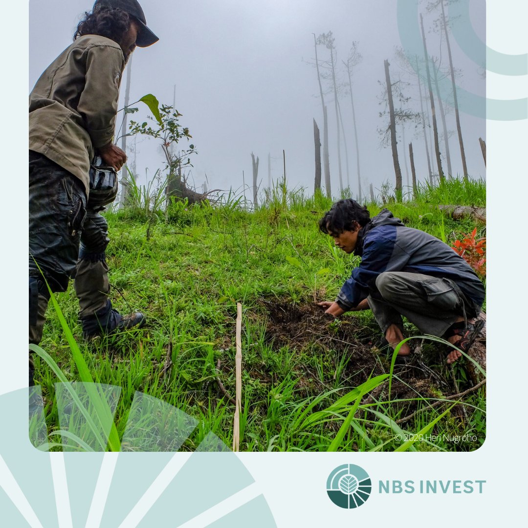 World Bank Climate (@wbg_climate) on Twitter photo Nature-based solutions can be essential for building resilience in FCV affected settings.
Learn more in the latest <a href="/WorldBank/">World Bank</a> paper on nature-based solutions and fragility:
wrld.bg/g95k50VNiiP Nature-based solutions can be essential for building resilience in FCV affected settings.
Learn more in the latest <a href="/WorldBank/">World Bank</a> paper on nature-based solutions and fragility:
wrld.bg/g95k50VNiiP