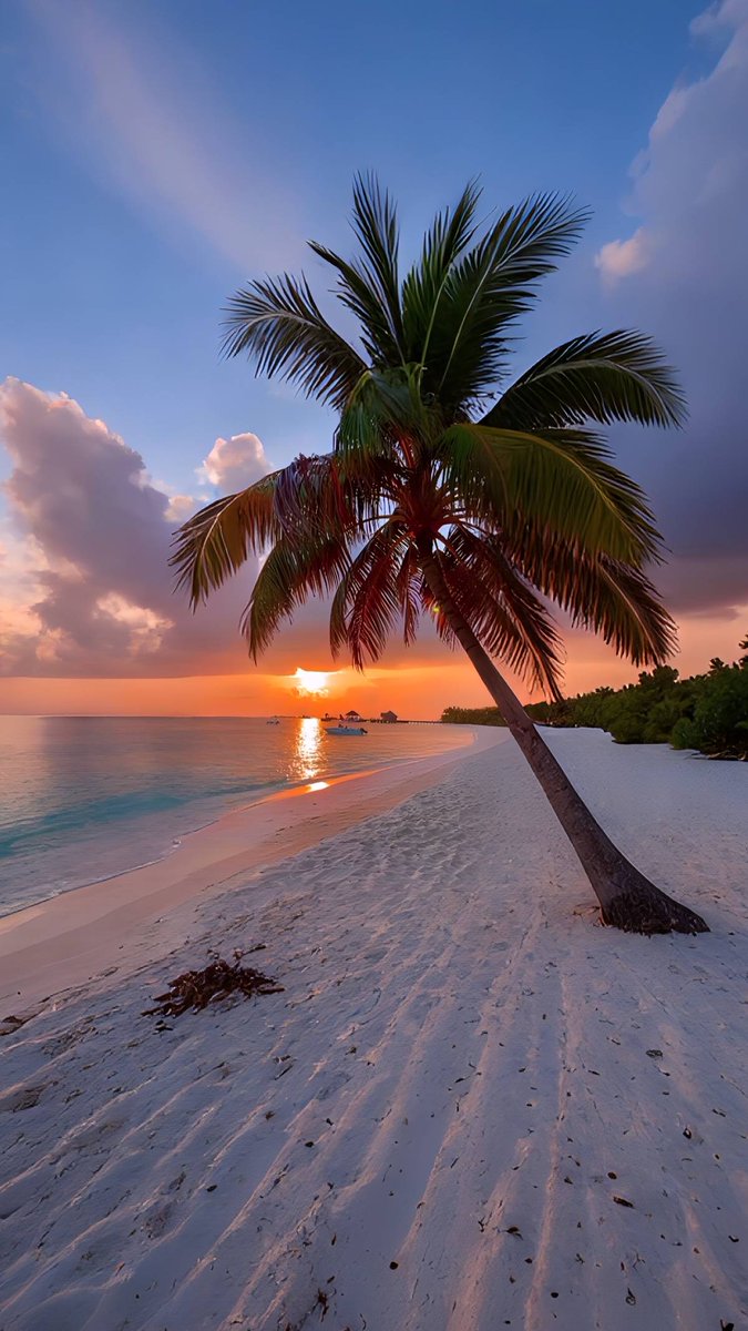 viewsoff_'s tweet image. Ocean Sunset