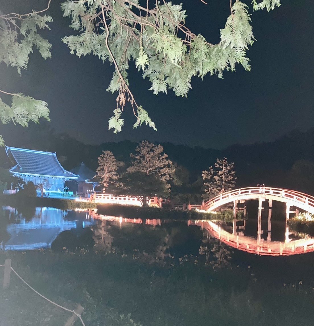 mint_200m's tweet photo. Zen moment
#称名寺 #zen https://t.co/XU6AqIGFdF