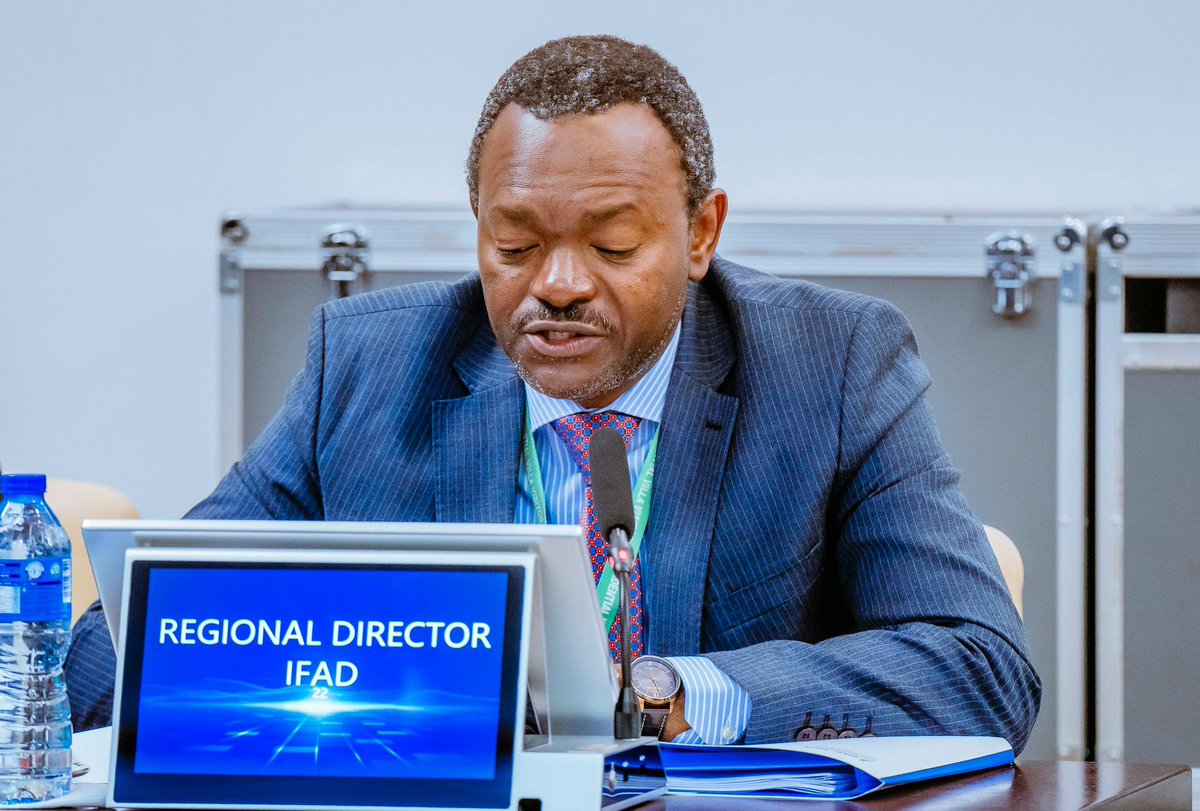 Senator Kashim Shettima tweet media