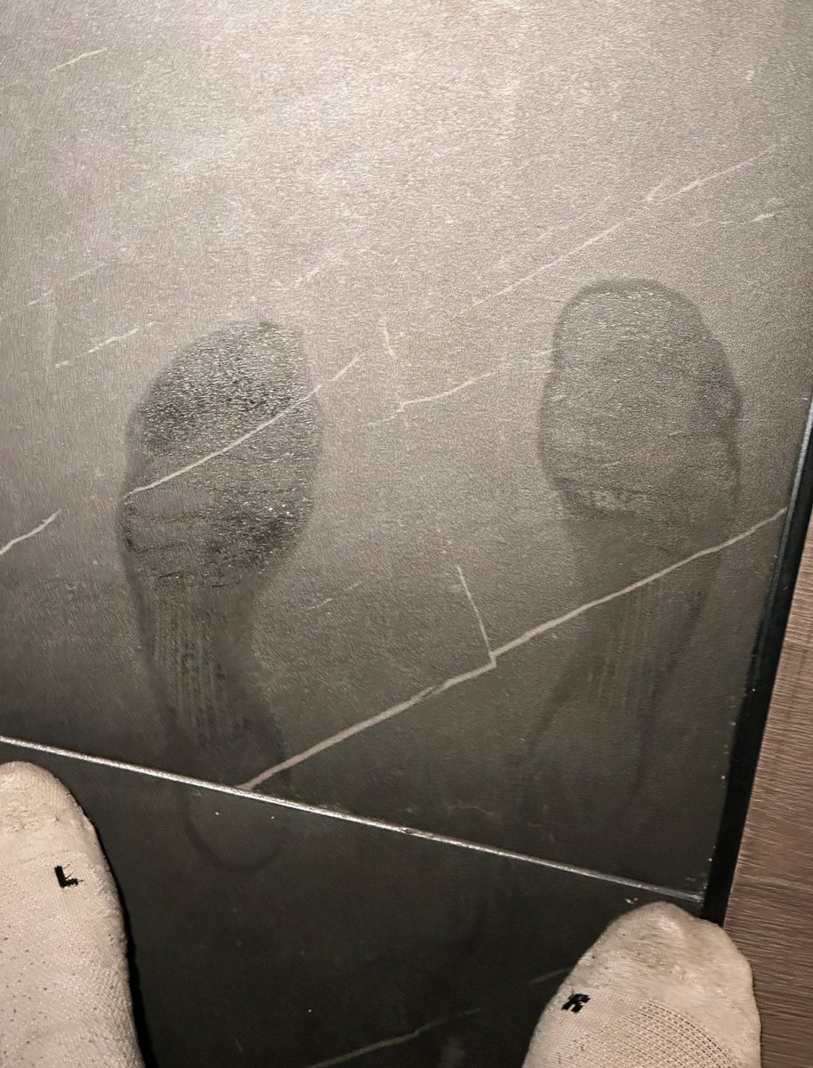不论在哪都是一条狗