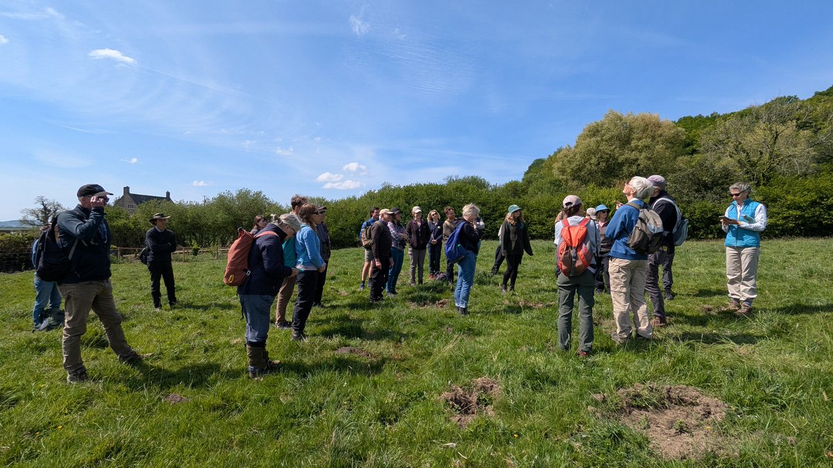 Tom Brereton (@tom_m_brereton) on Twitter photo Grasshopper Warbler and Garden Warbler singing at Mapperton Wildlands on a guided walk for <a href="/NaturalEngland/">Natural England</a> staff Grasshopper Warbler and Garden Warbler singing at Mapperton Wildlands on a guided walk for <a href="/NaturalEngland/">Natural England</a> staff