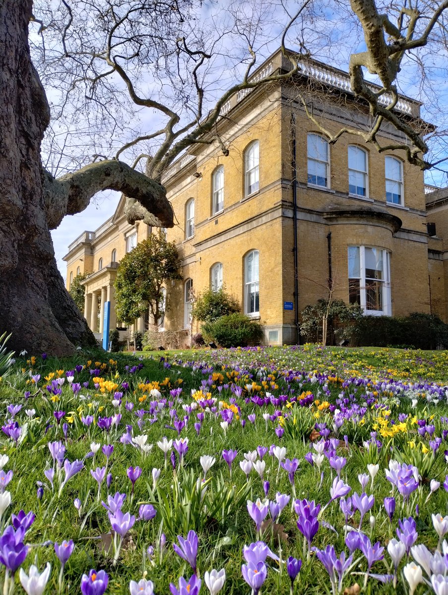 #iSAMS experienced #DataManager required at #Eltham College

Looking after all things #mis and #data 

Pay up to £55K plus excellent benefits, iSAMS and onsite is a must have

Full pack on link esp-recruit.co.uk/esp-job/mis-ma…

#connectwithisams