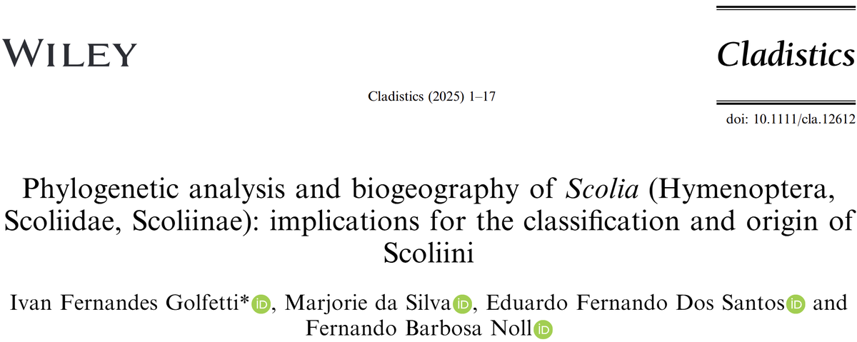 CladisticsAlert's tweet image. ⚠️#NewPaperAlert❗
Phylogenetic analysis and biogeography of 𝙎𝙘𝙤𝙡𝙞𝙖 (Hymenoptera, Scoliidae, Scoliinae): implications for the classification and origin of Scoliini
By Fernandes Golfetti et al.

doi.org/10.1111/cla.12…

#Cladistics #Phylogenetics #Biogeography