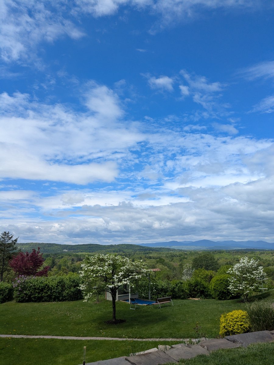 Nancy H (@nhuleatt54300) on Twitter photo 