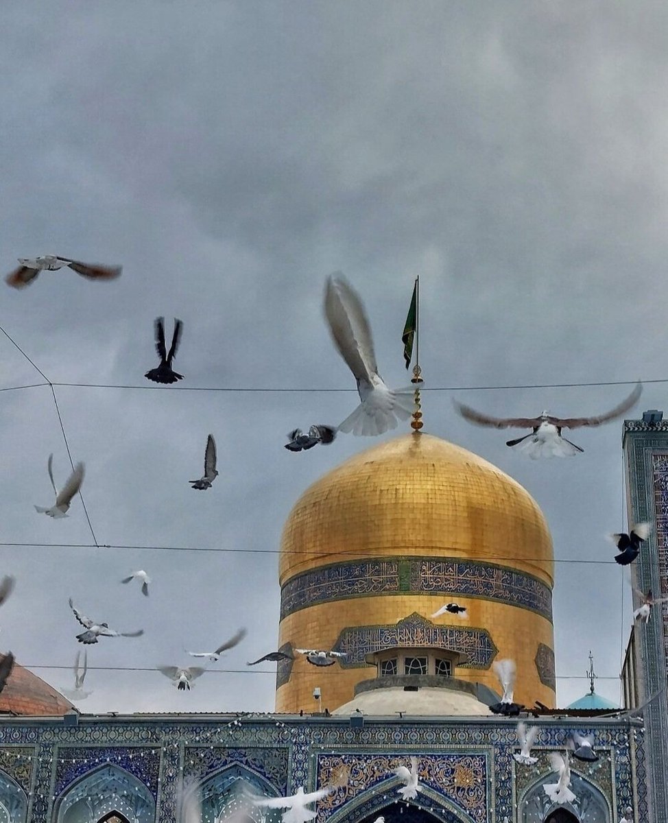 -
قَالَ مولانا الإمام الرِضَا عليَّه السَّلام : "ثَمَانِيَةُ أَشْيَاءَ . .
لَا تَكُونُ إِلَّا بِقَضَاءِ اللَّهِ وَ قَدَرِهِ :
النَّوْمُ ، وَ الْيَقَظَةُ ، وَالْقُوَّةُ ، وَالضَّعْفُ ، وَ الصِّحَّةُ، وَالْمَرَضُ ، وَ الْمَوْتُ ، وَ الْحَيَاةُ "