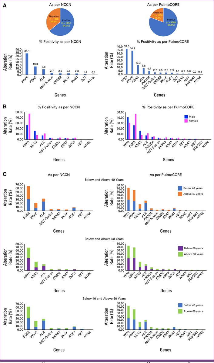 Dr. Foxpaws Fauxpas (@foxpaws_onco) on Twitter photo Mutational landscape on Indian patients with Lung #cancer #lcsm
Beautiful article <a href="/JCO_ASCO/">Journal of Clinical Oncology</a> from <a href="/VanitaNoronha/">Vanita Noronha, MBBS MD DM</a>, Dr Kumar Prabhash <a href="/minitjshah/">Minit Shah</a> <a href="/Nandinimenon18/">Nandini Menon</a>
Longing for a day where p53 becomes a targetable mutation!
<a href="/CoreDiagnostics/">CORE Diagnostics</a>
<a href="/SuyogCancer/">Dr Amol Akhade</a> <a href="/medoncodoc/">Goutham Sunny</a> <a href="/drmpk91/">Praveen Kumar Marimuthu</a> Mutational landscape on Indian patients with Lung #cancer #lcsm
Beautiful article <a href="/JCO_ASCO/">Journal of Clinical Oncology</a> from <a href="/VanitaNoronha/">Vanita Noronha, MBBS MD DM</a>, Dr Kumar Prabhash <a href="/minitjshah/">Minit Shah</a> <a href="/Nandinimenon18/">Nandini Menon</a>
Longing for a day where p53 becomes a targetable mutation!
<a href="/CoreDiagnostics/">CORE Diagnostics</a>
<a href="/SuyogCancer/">Dr Amol Akhade</a> <a href="/medoncodoc/">Goutham Sunny</a> <a href="/drmpk91/">Praveen Kumar Marimuthu</a>