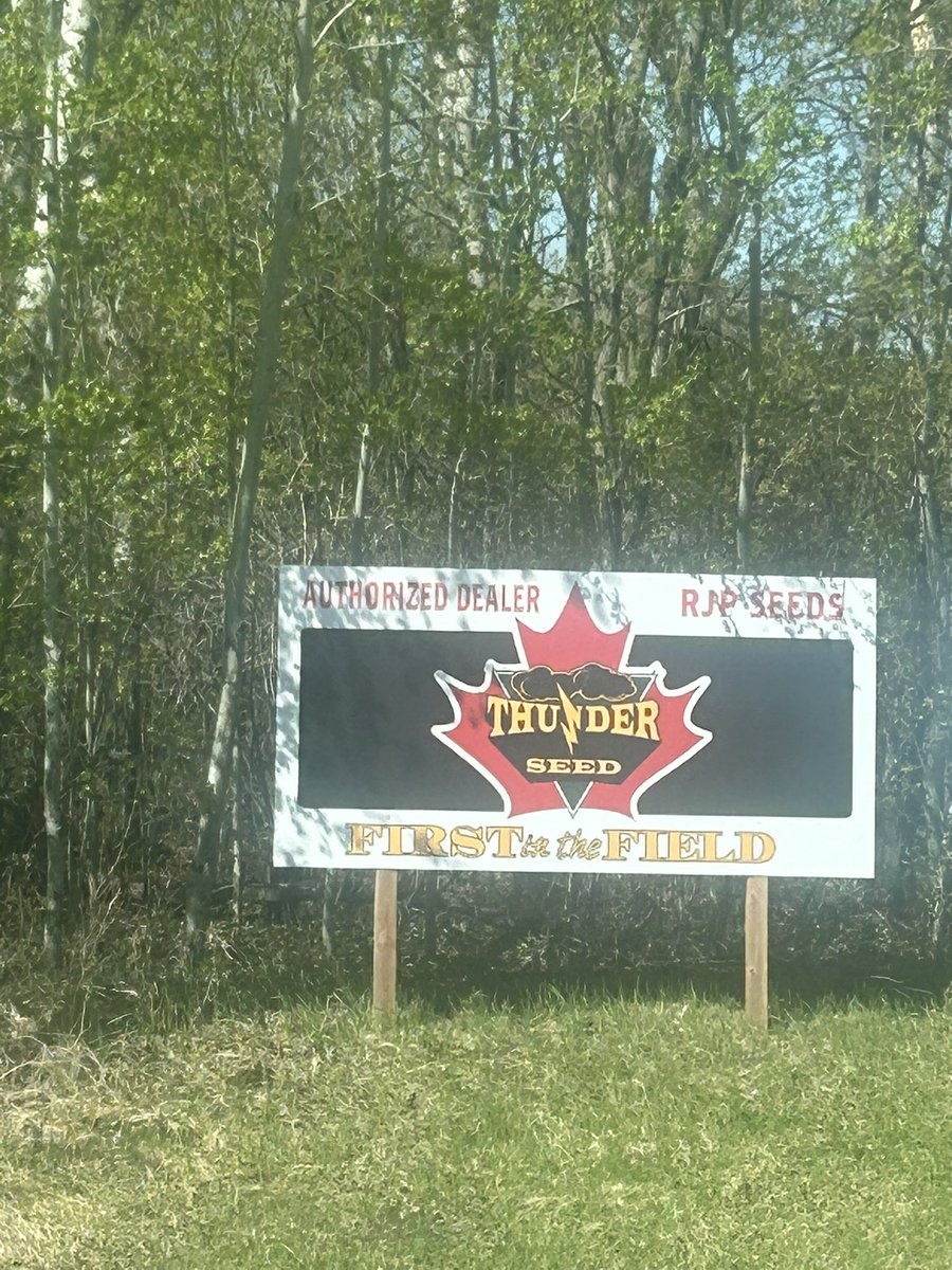 Wendy Major (@wendymajor10) on Twitter photo RJP seeds located north of Carman carries Thunder seed corn and soybeans …. Give <a href="/Sherryrjpseed/">Sherry Woods</a> a call or one of the Thunder seed reps for any acres you still have available!! <a href="/Nicole_L_O/">Nicole</a> <a href="/Jebber11/">Jesse Bernard</a> <a href="/cndaggie/">David Chappellaz</a> <a href="/renatejochum/">Renate</a> <a href="/thunder_seed/">Thunder Seed</a> RJP seeds located north of Carman carries Thunder seed corn and soybeans …. Give <a href="/Sherryrjpseed/">Sherry Woods</a> a call or one of the Thunder seed reps for any acres you still have available!! <a href="/Nicole_L_O/">Nicole</a> <a href="/Jebber11/">Jesse Bernard</a> <a href="/cndaggie/">David Chappellaz</a> <a href="/renatejochum/">Renate</a> <a href="/thunder_seed/">Thunder Seed</a>