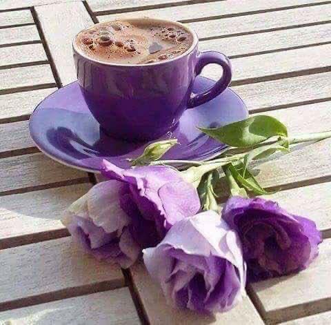 lavender_plain's tweet photo. #الهلال_الرايد  قهوة المساء نَفس ومُتنفس .#قهوة #لافندر #Lavender https://t.co/HgpwzFxpXL