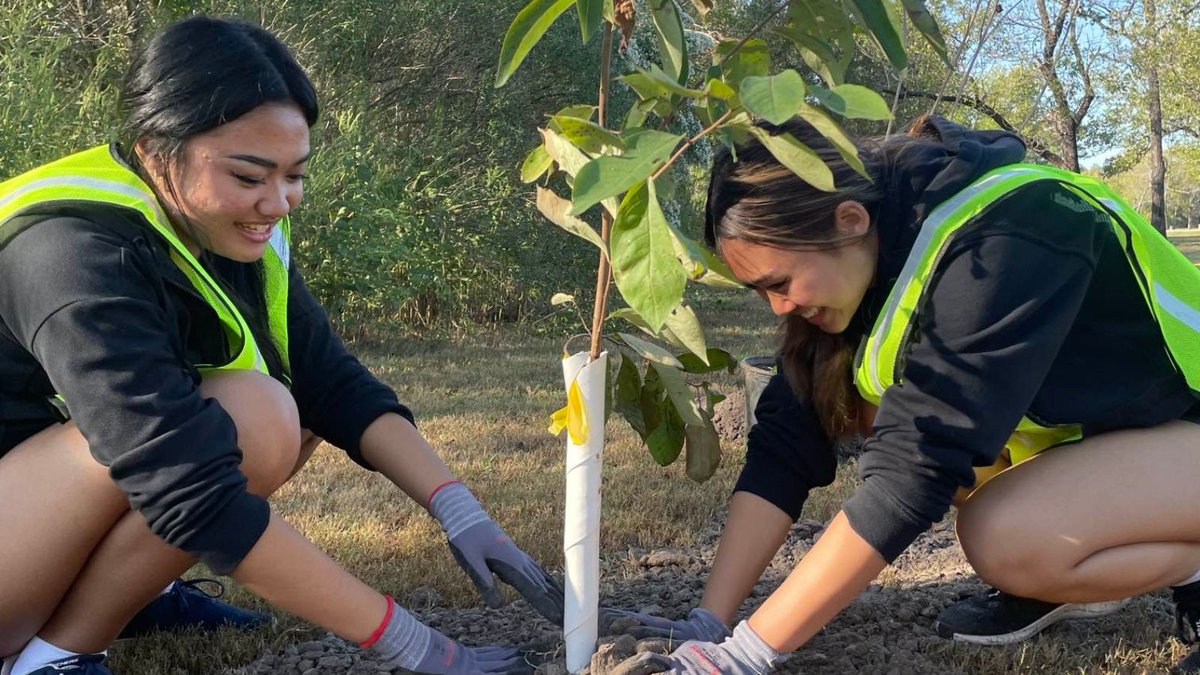 KHoustonB's tweet photo. This week's tip: Plant a tree in your community to combat climate change. Trees absorb carbon dioxide and release oxygen, making them vital for a healthier planet. Spring tree planting season is almost over so act today! 🌳🌍 #TreeForTomorrow https://t.co/iYeTxZW9Ck