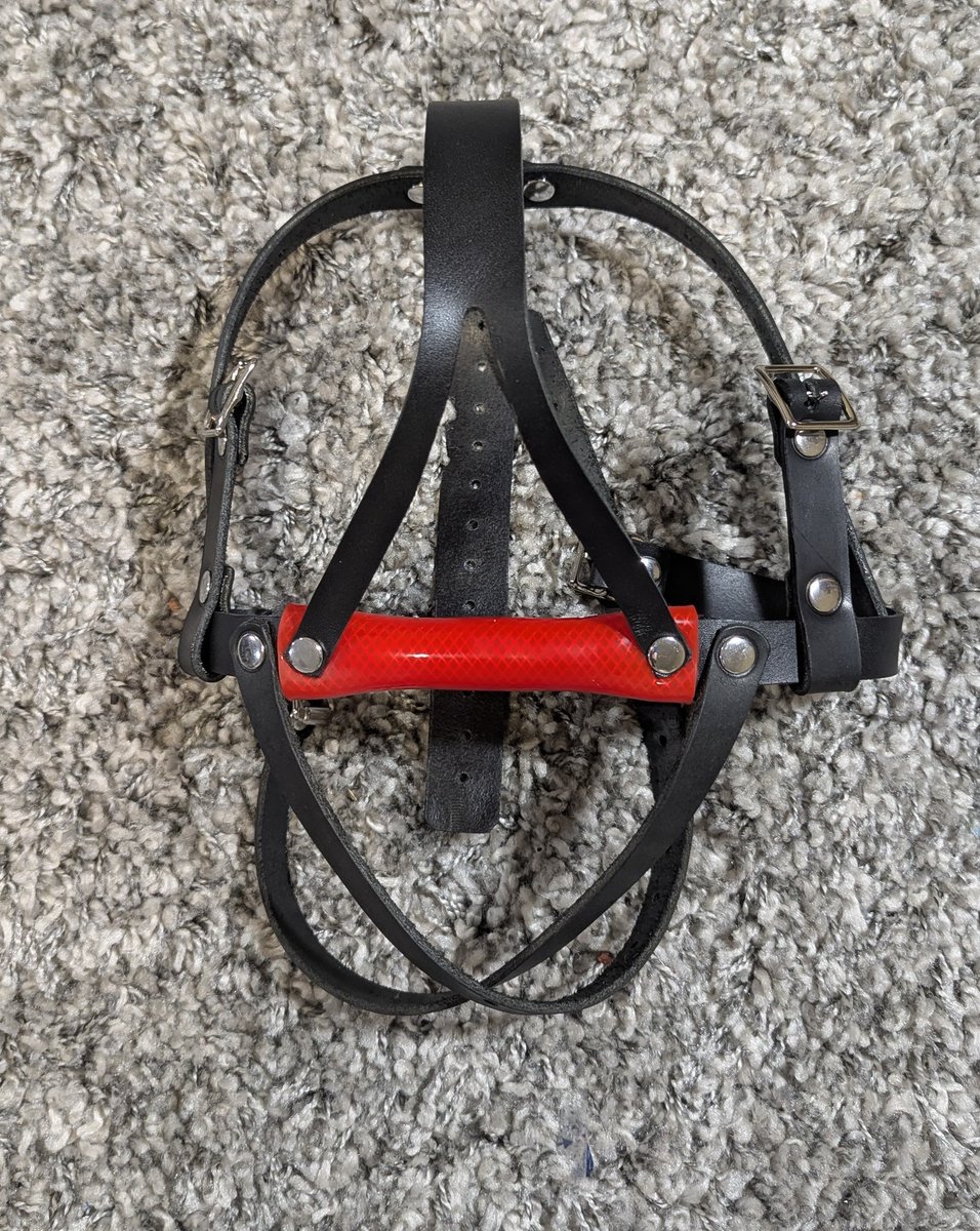 new gag type now available.

This harness gag features a bit lined with medical grade silicone tubing.  It is still effective but is easier on the jaw for those who cannot tolerate a 2" ball.