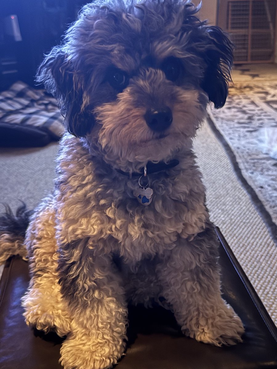 My man, Rudy is ready for the <a href="/ACMawards/">ACM Awards</a>!