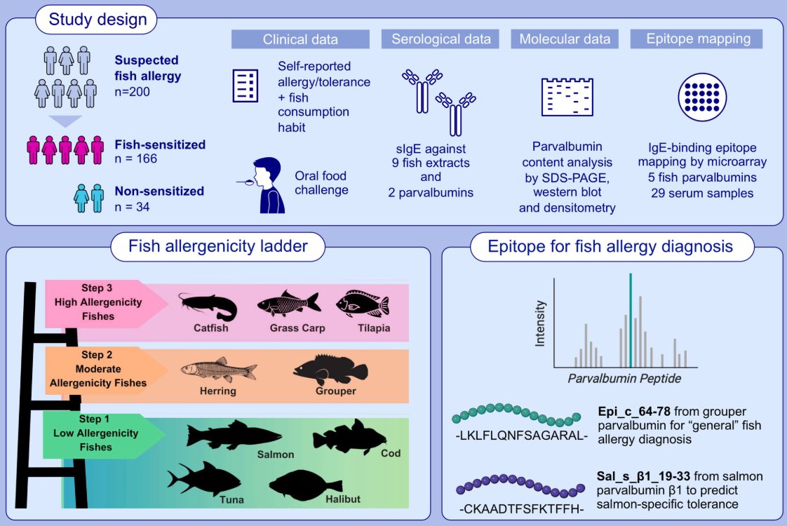 Open access: Fish Allergenicity Ladder and Parvalbumin Epitopes for Predicting Clinical Cross‐Reactivity and Reintroduction in Chinese Population. Corresponding authors: Christine Y. Y. Wai and Ting Fan Leung 

Read the article here: doi.org/10.1111/all.16…

Clinical history