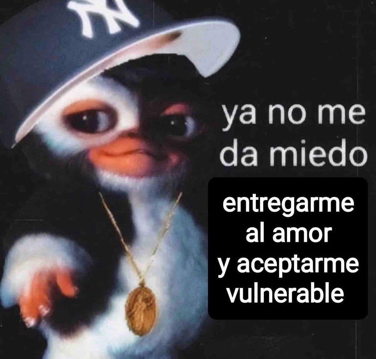 conoloracigarro's tweet photo. https://t.co/d0mVY25vpN