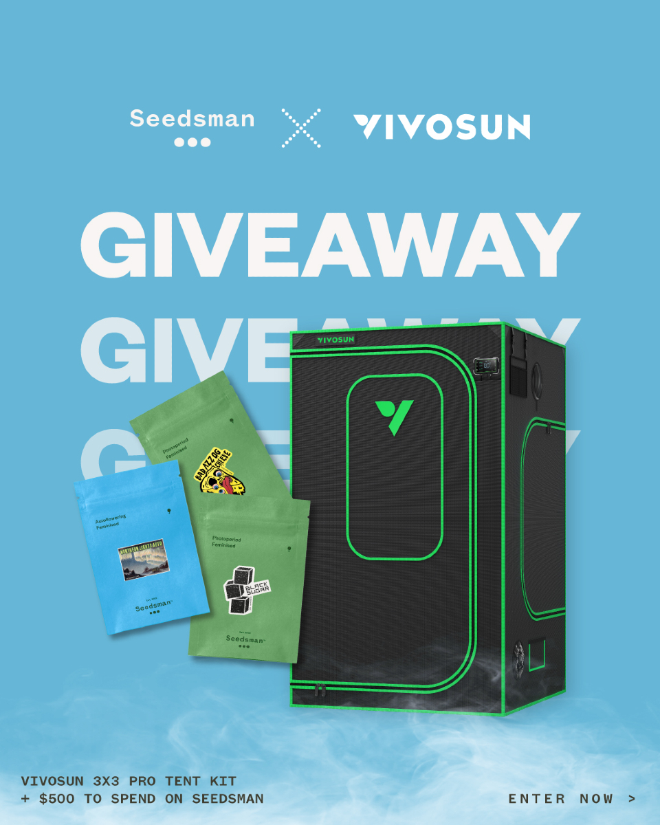 SeedsmanSeeds's tweet image. Last days to enter...

⚠️US &amp;amp; EU Only | 🔗 f.mtr.cool/vbnxmlusue