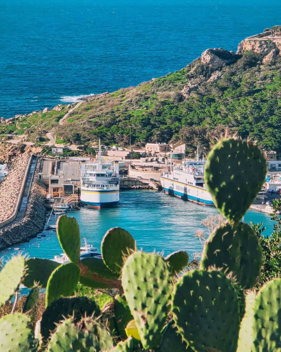 Visit Gozo (@visitgozo) on Twitter photo Every adventure starts here… ⛴️
Whether you're arriving for a weekend escape or heading back with unforgettable memories, the ferry terminal is where the magic begins. When’s your next trip to Gozo?
📸 @anna_world_behind_my_glasses
#gozoferry #travelstartshere #visitgozo Every adventure starts here… ⛴️
Whether you're arriving for a weekend escape or heading back with unforgettable memories, the ferry terminal is where the magic begins. When’s your next trip to Gozo?
📸 @anna_world_behind_my_glasses
#gozoferry #travelstartshere #visitgozo
