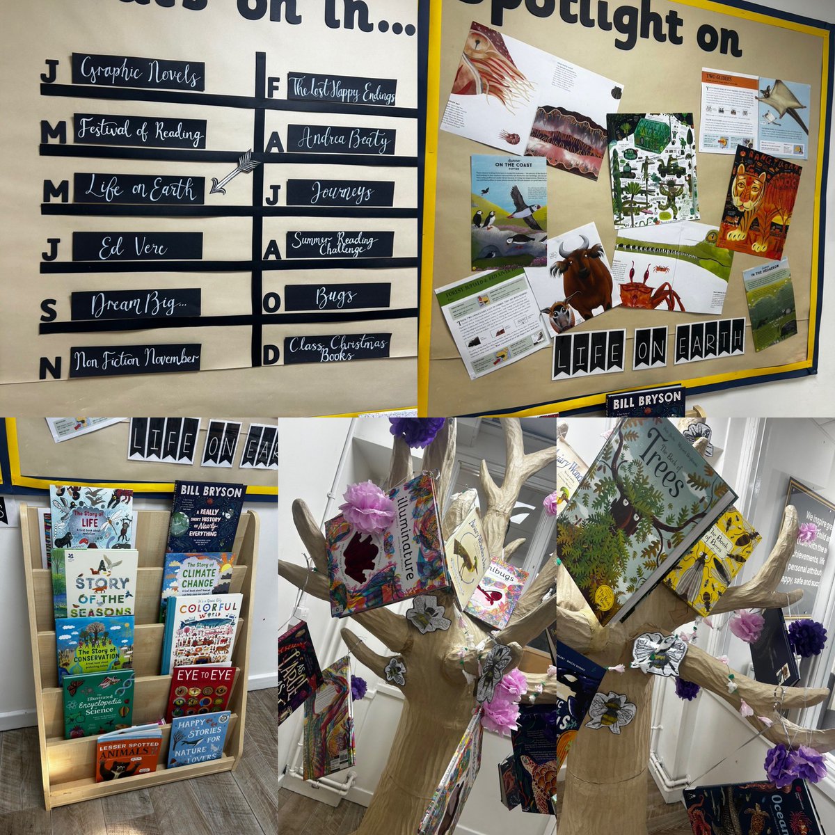 Mays Spotlight on…