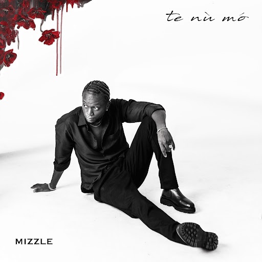 #NEW Mizzle - Te Nu Mo Lyrics: afrikalyrics.com/mizzle-te-nu-m…