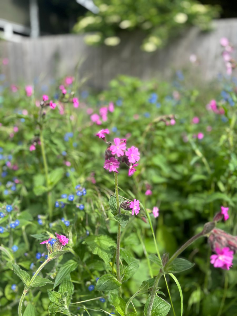 St Clement with St Peter Church tweet media