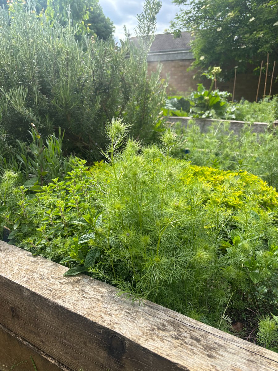 St Clement with St Peter Church tweet media