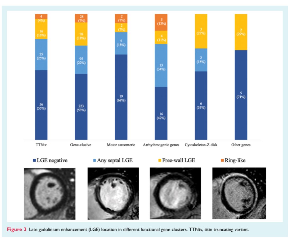 Edgardo Alania (@ed_alania) on Twitter photo 🔴 Integrated role of CMR & genetics in predicting LV reverse remodelling in dilated & non-dilated cardiomyopathy <a href="/ESC_Journals/">European Society of Cardiology Journals</a> #Cardiology #Cardioed #Genetics #WhyCmr #FOAMed 🔴 Integrated role of CMR & genetics in predicting LV reverse remodelling in dilated & non-dilated cardiomyopathy <a href="/ESC_Journals/">European Society of Cardiology Journals</a> #Cardiology #Cardioed #Genetics #WhyCmr #FOAMed
