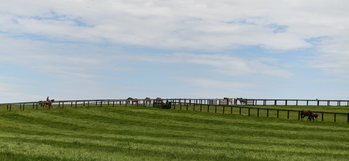 Nestled in Kirtling, just outside Newmarket, our HQ at Vicarage Farm provides the perfect place to kick-start a horse’s ridden career 🐎

#VFPT #VicarageFarm