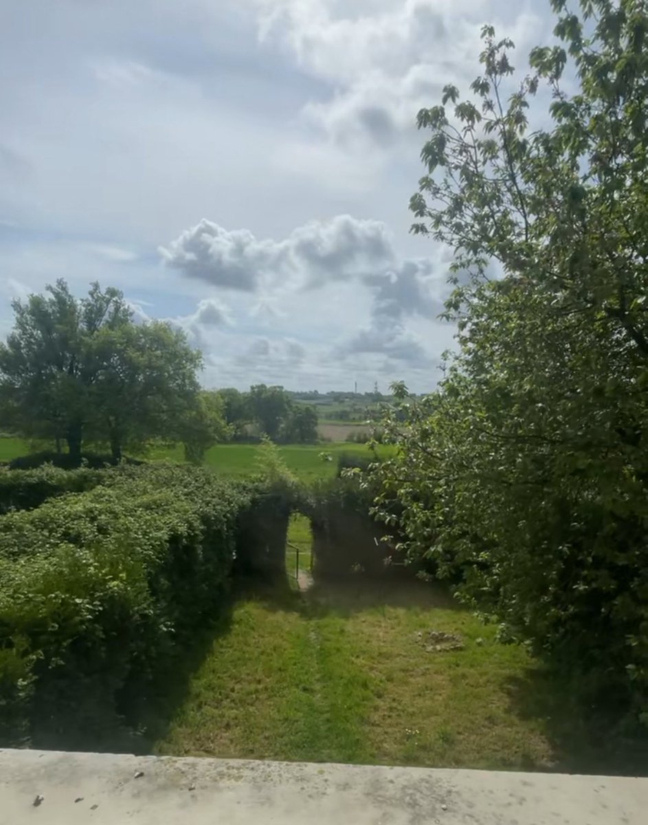 We are cooking a lot