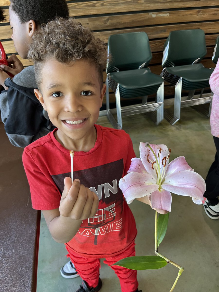 Our first graders had an amazing day at Columbia Bottoms exploring 💐 and seeds! They became little pollinators 🐝, discovered how seeds travel, and enjoyed a nature 🌳 hike. Learning was blooming all around us! #TheSTRONG💪