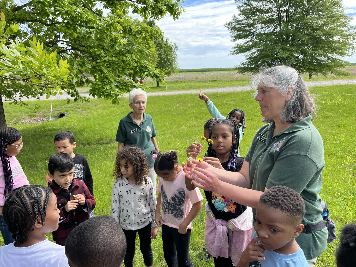 Armstrong Eagles tweet media