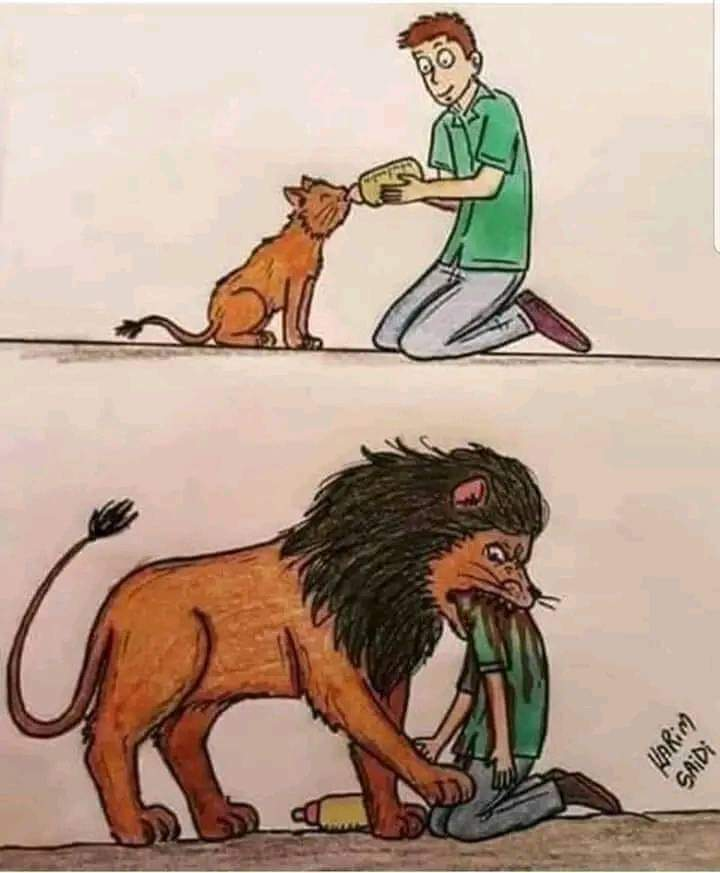 brad_agapecity tweet media