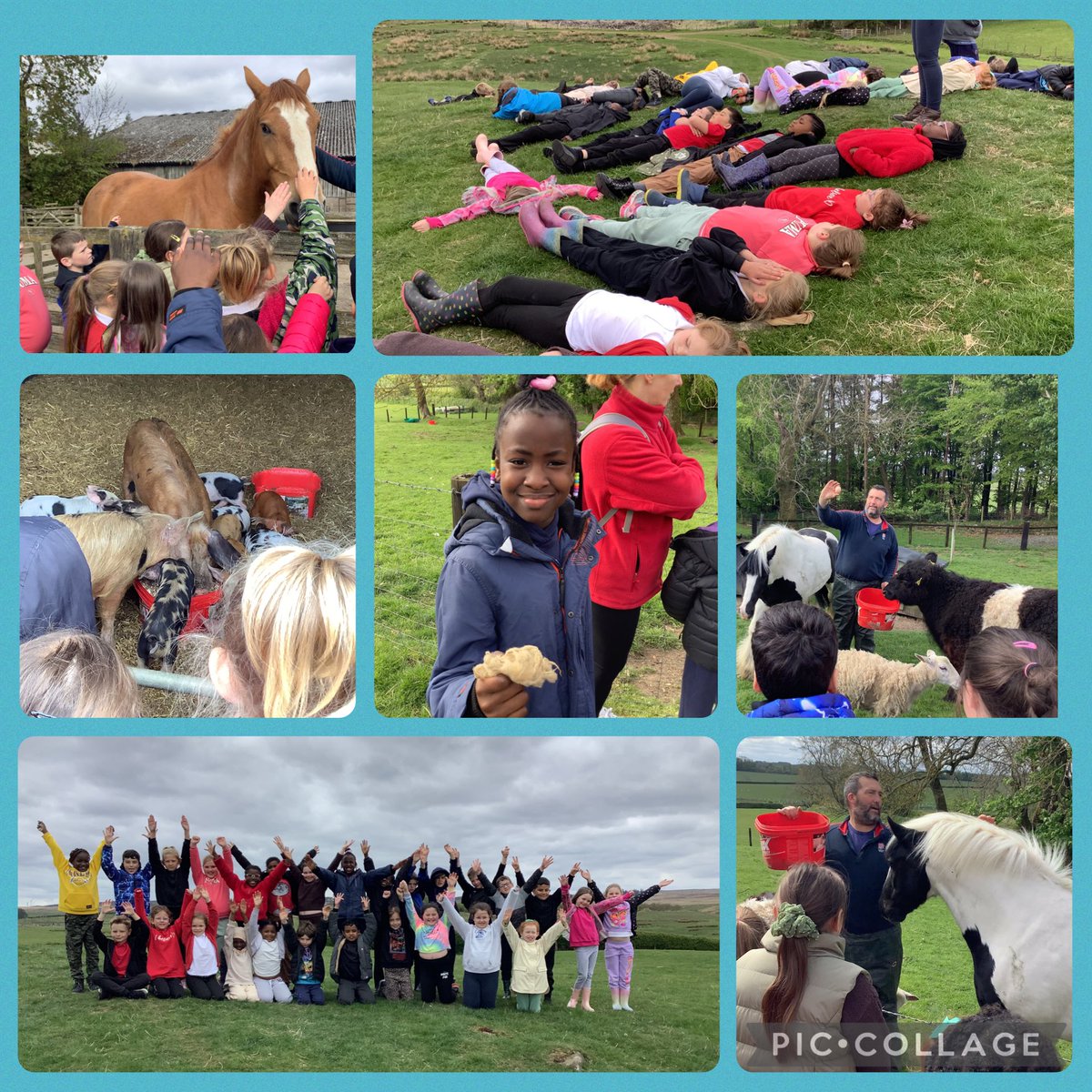 Year 3 had a brilliant day at Fairnley Farm learning all about life on a working farm. <a href="/FallaParkSchool/">Falla Park Community Primary School</a> <a href="/Miss_Carr_Falla/">Miss Carr</a>