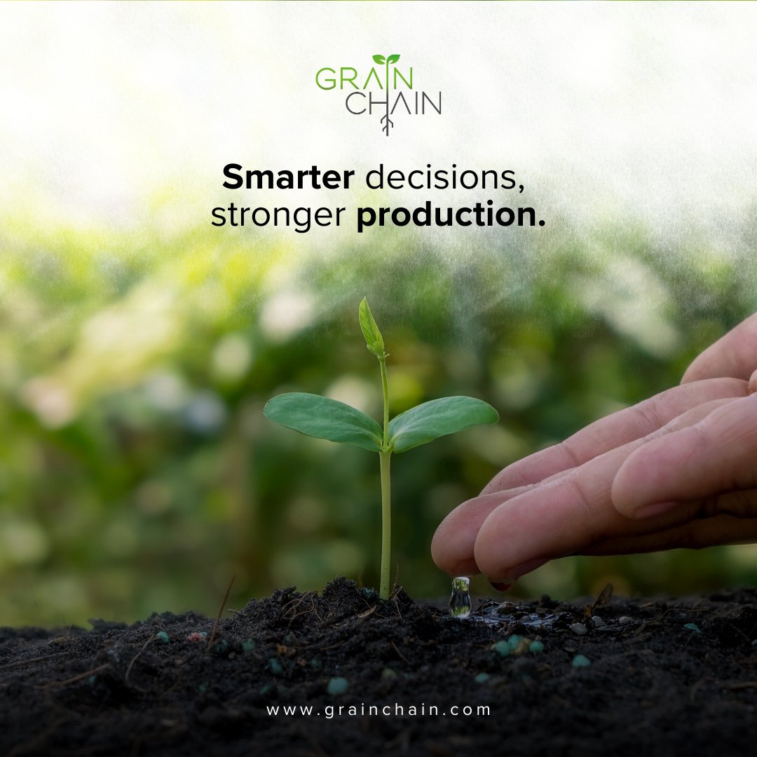 GrainChain tweet media