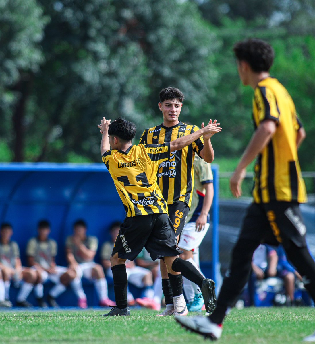 👉🏻 En equipo, siempre 🤝

#CanteraAurinegra🟡⚫️