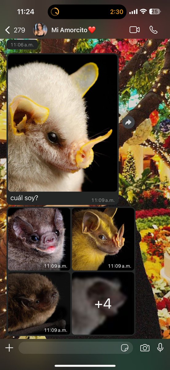 gonza11_luis's tweet image. - Yo en chinga en el jale

- Mi novia: