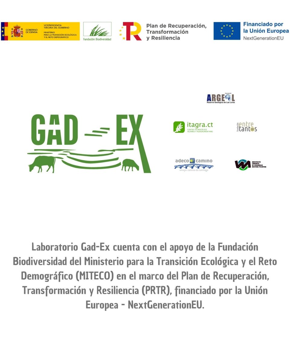 geoparquelasloras (@geoloras) on Twitter photo El ingeniero de Montes y apicultor profesional Víctor Muñiz impartió hace unos días un interesante taller sobre diversificación de la producción apícola. Actividad promovida desde Laboratorio GAD-EX.
<a href="/FBiodiversidad/">Fundación Biodiversidad</a> #NextGenerationEU #ProyectosPRTR #PlanDeRecuperación El ingeniero de Montes y apicultor profesional Víctor Muñiz impartió hace unos días un interesante taller sobre diversificación de la producción apícola. Actividad promovida desde Laboratorio GAD-EX.
<a href="/FBiodiversidad/">Fundación Biodiversidad</a> #NextGenerationEU #ProyectosPRTR #PlanDeRecuperación