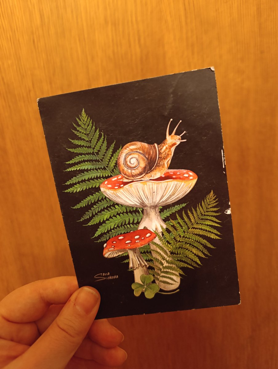 Я вот уже забыла, что зачем-то нужно заглядывать в почтовый ящик, а тут мне улитка привезла морской ветер и жопку косули от <a href="/otter_janine/">бешено и ядерно живой</a> ! **