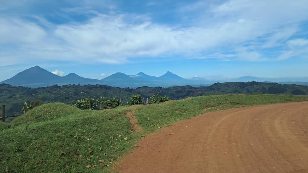 Am loving this! Can’t wait to see these mountain beauties again 😊😊