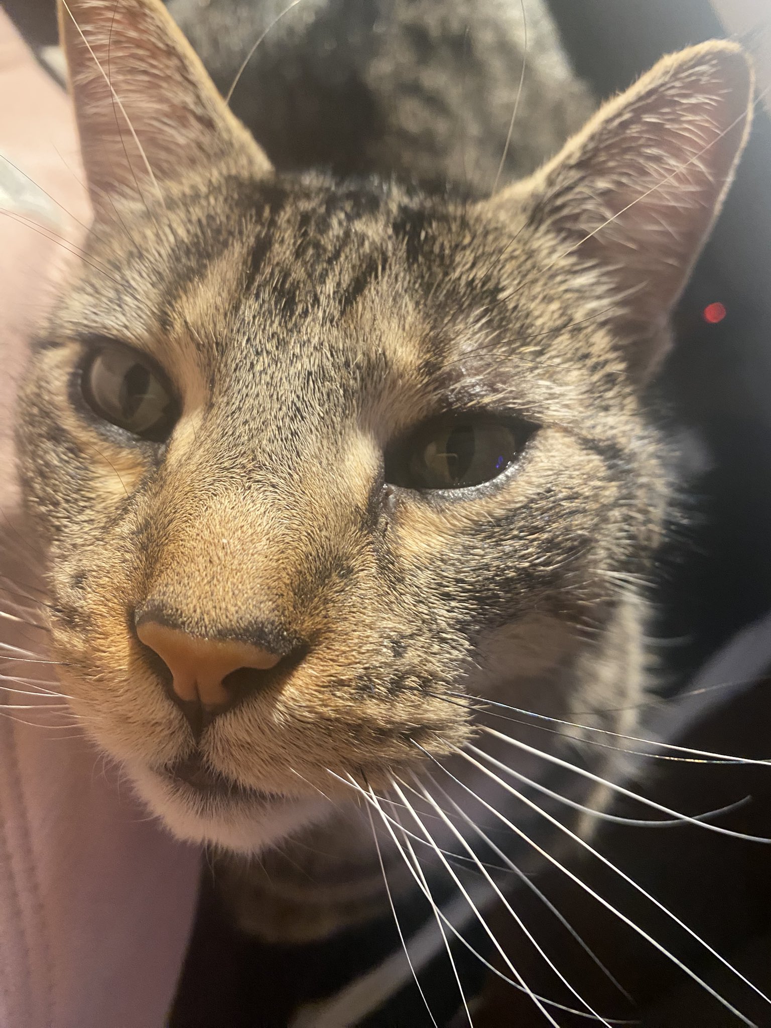 (*´ω｀*) Amazon.com: ZTBH Oxygen Sensor for GL8 2.4L 12621696