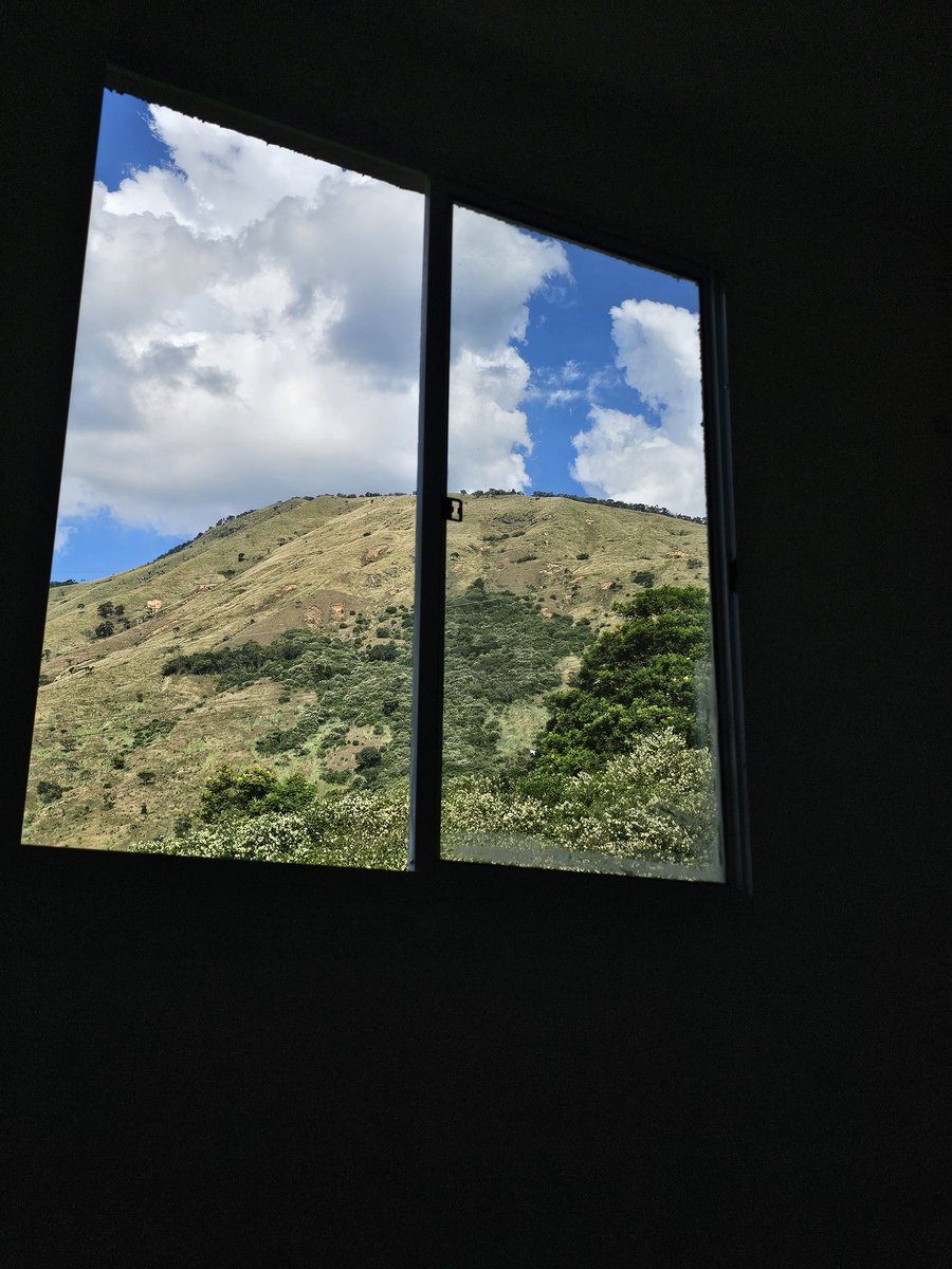 Passando só pra mostrar a vista do meu quarto, na minha casinha nova 💕💕