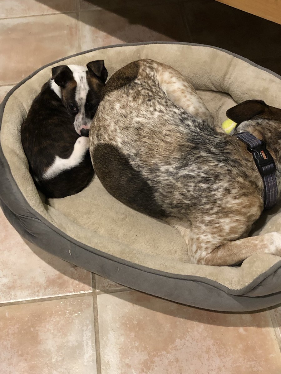 Andy Grolnick tweet media