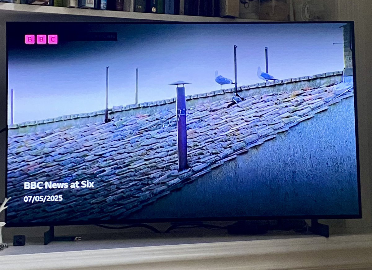 Our guaranteed, although not regular, armchair TV tick of Yellow-legged Gull … #pope #everysingletime  #whitesmoke