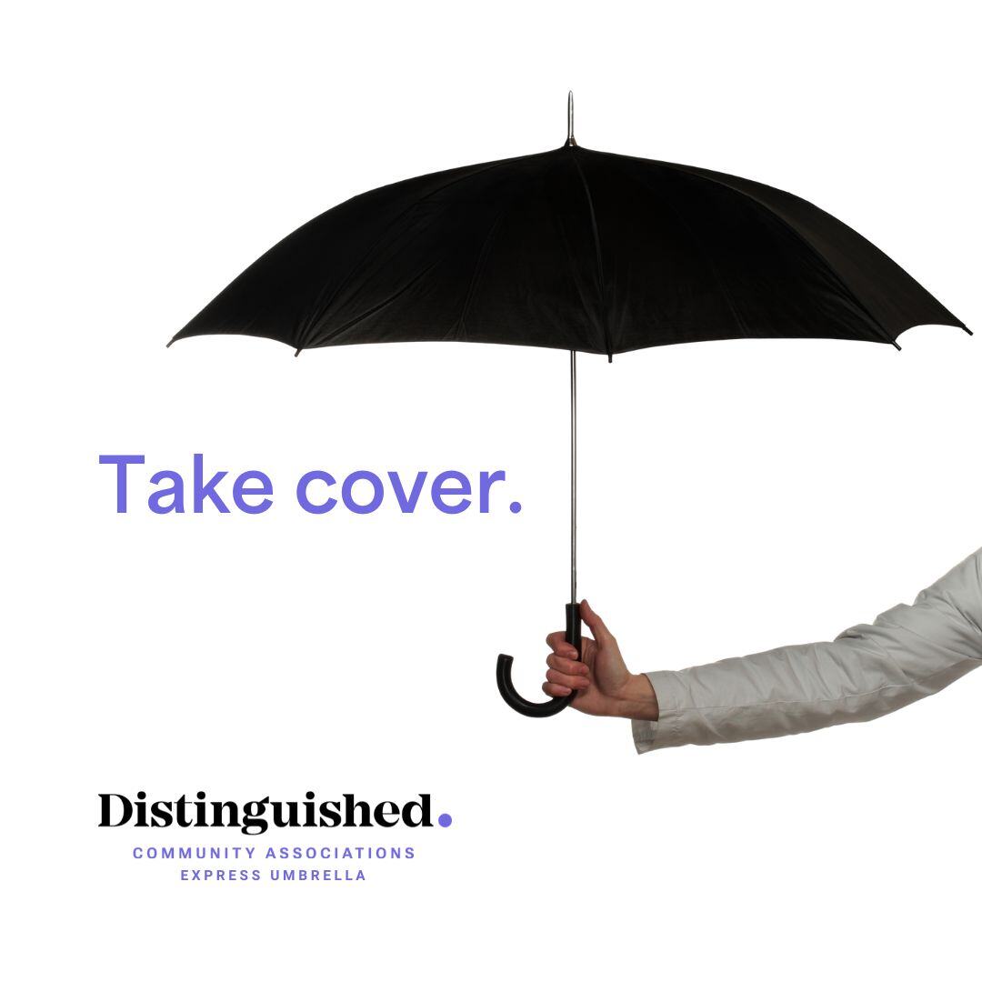 DistinguishedPG's tweet image. 🌂 Distinguished’s Express Community Associations Umbrella provides an extra layer of financial protection in the event of unforeseen accidents.

Visit the Distinguished website to learn more: hubs.li/Q03lpF3_0

#communityassociations #umbrellainsurance #hoainsurance