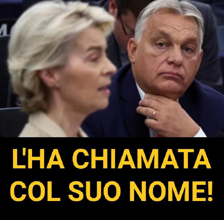 ORBAN 
La presidente von der Leyen vuole investire altri miliardi in Ucraina, trascinare l’Europa ancora di più in una guerra persa e accelerare l’ingresso di uno Stato in bancarotta nell’UE. Non sta servendo gli Stati membri, sta servendo un’agenda 😡
